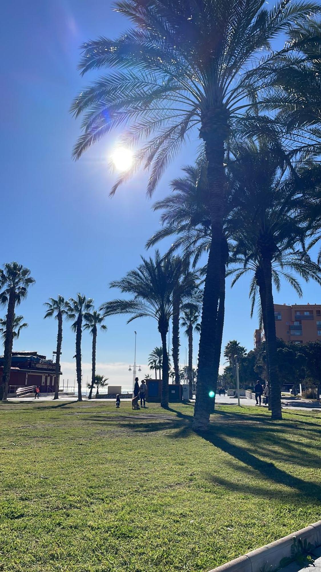 Puesta De Sol Apartment Málaga
